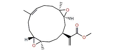 Flexilarin B